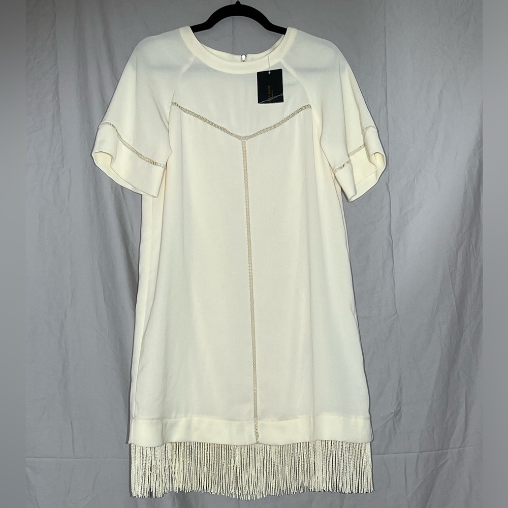 Zara basics Fringed dress